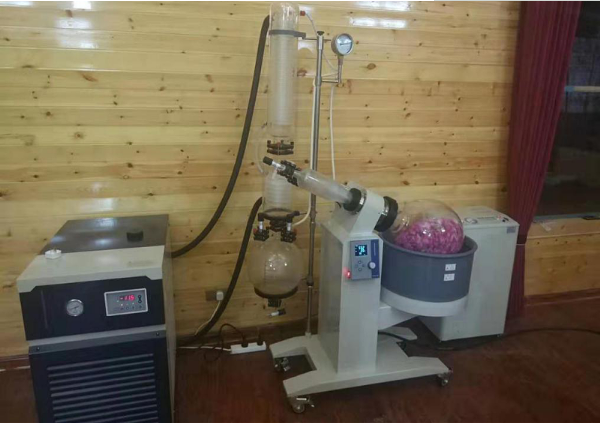 旋转蒸发仪用于植物萃取案例